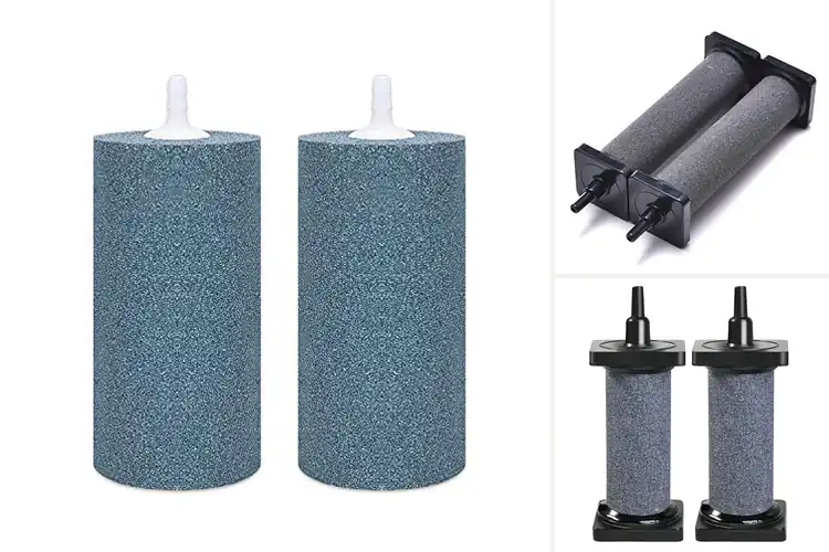 Detailed view of Best Aeration Stone For Hydroponic Systems