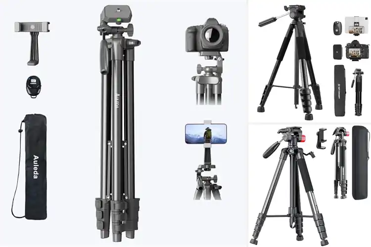 Detailed view of Best Camera Tripod Levels
