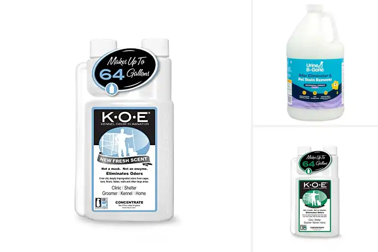 Detailed view of Best Concentrated Odor Removers For Large Areas