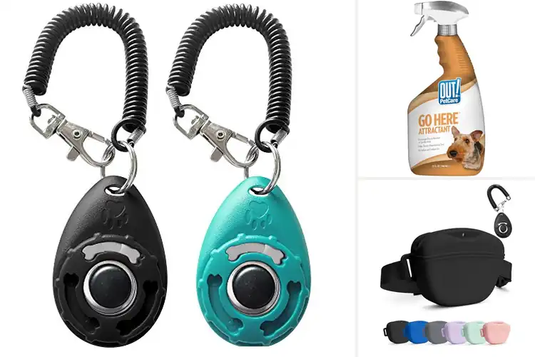 Detailed view of Best Dog Training Aids