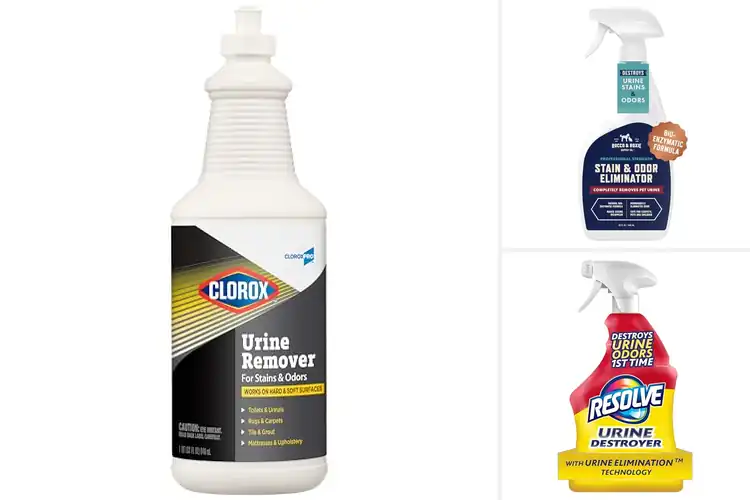 Detailed view of Best Easy Apply Urine Stain And Odor Removers