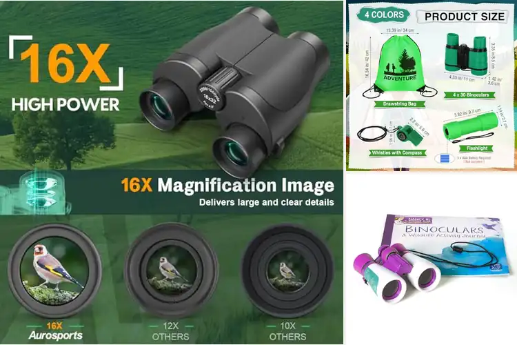 Detailed view of Best Educational Binoculars For Observation