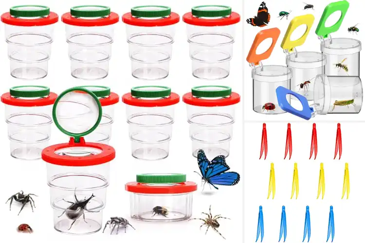 Detailed view of Best Observation Tools For Kids