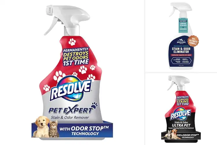 Detailed view of Best Odor Removers For Carpets And Upholstery