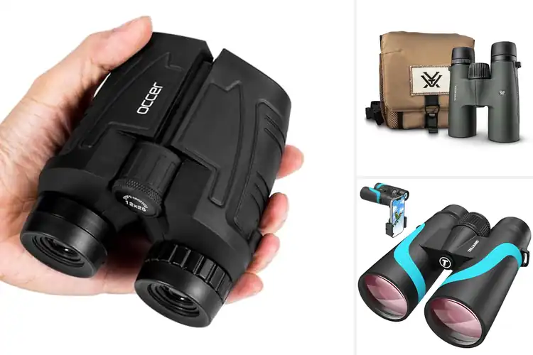 Detailed view of Best Outdoor Binoculars