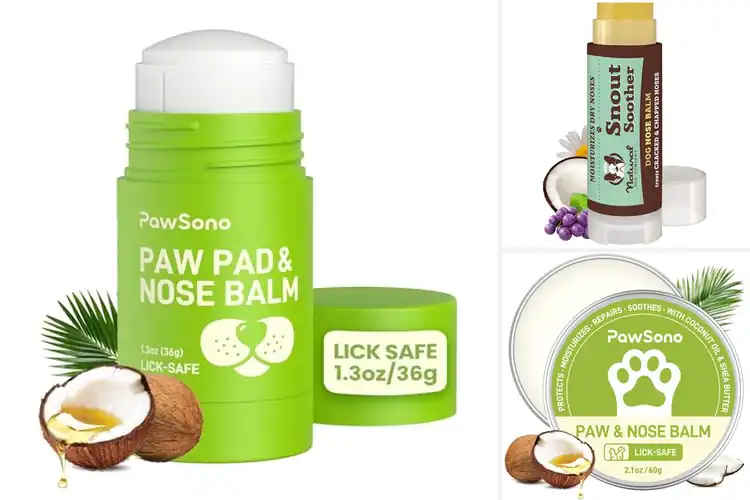 Detailed view of Best Safe Dog Products