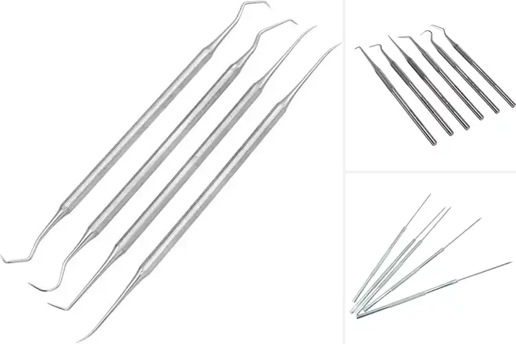 Detailed view of Best Stainless Steel Probes